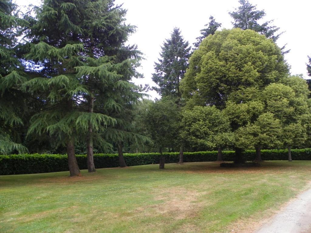 Manoir De Saint-Fiacre Bed & Breakfast Malansac Bagian luar foto